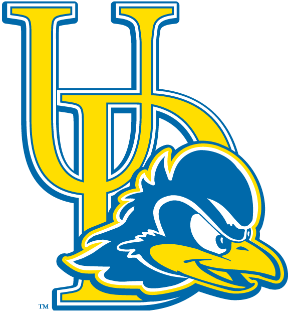 Delaware Blue Hens 2009-Pres Alternate Logo v2 diy DTF decal sticker...